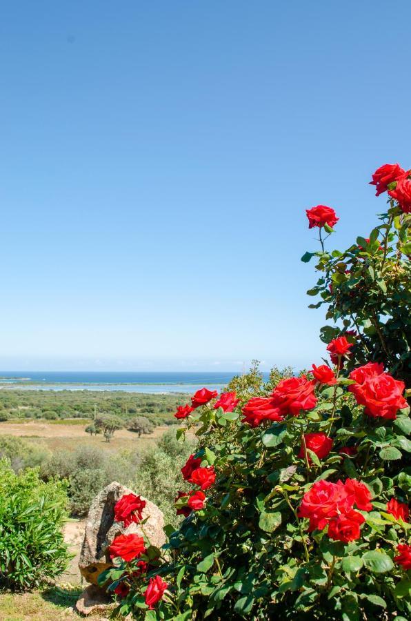 La Minditta * San Teodoro (Sardinia)