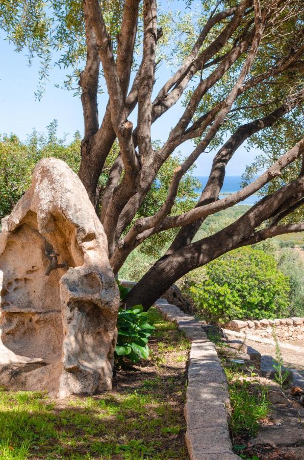 La Minditta San Teodoro (Sardinia)