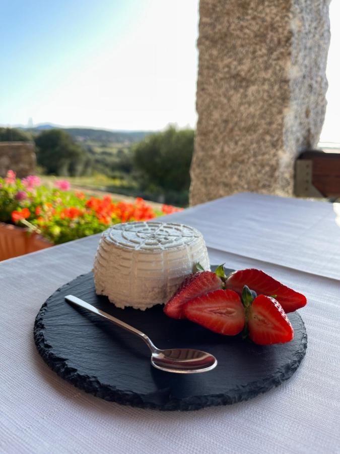 Bed & Breakfast La Minditta *